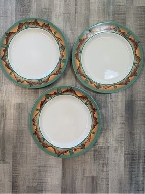 Set of 3 Desert Southwest Cactus Dinner Plates 11” Meiwa Southwestern Stoneware